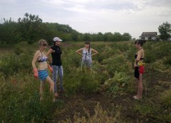 Красносільське лісництво
